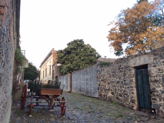 El Patio De Las Glicinas Colonia del Sacramento Exteriör bild